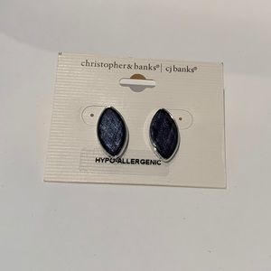 Blue Teardrop Stud Earrings
